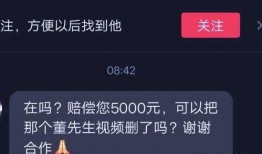 王小刀点评爆料视频大全,揭秘热门爆料视频背后的真相与内幕